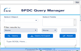 SFDC Query Manager