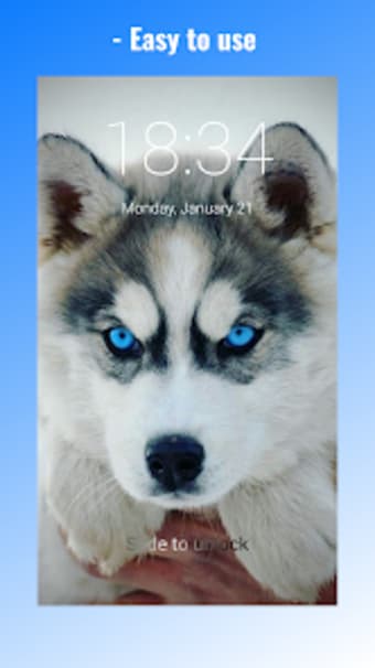 Cute Husky Puppies Lock Screen