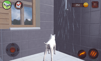 Bull Terier Dog Simulator