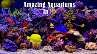 Amazing Aquariums In HD