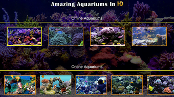 Amazing Aquariums In HD