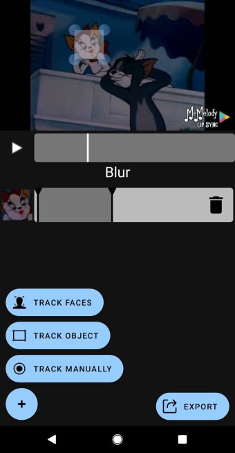 Blur Video: Partial Pixelate Censor Face Objects