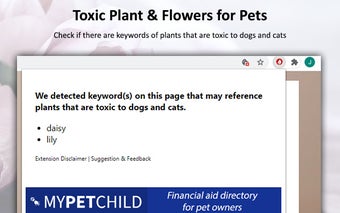 Toxic Plant & Flowers for Pets