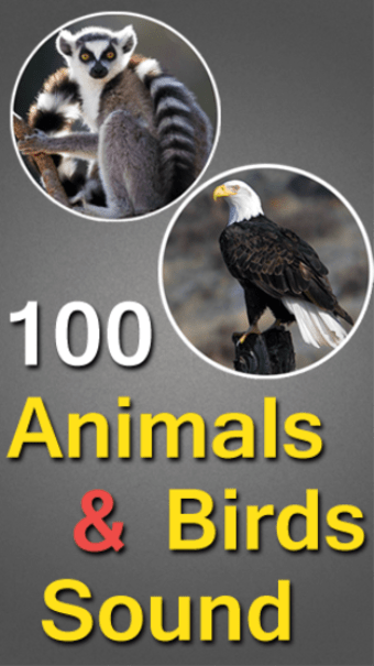 100 Animals and Birds Sound