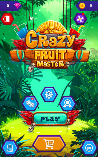 Crazy Juice Fruit Master Games