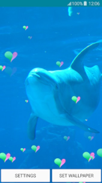 Live Wallpapers  Dolphins