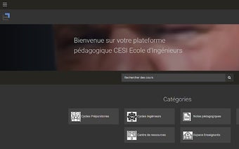 Thème noir + Autologin ENT CESI