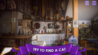Find a Cat: Hidden Object