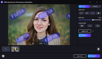 FliFlik Watermark Remover