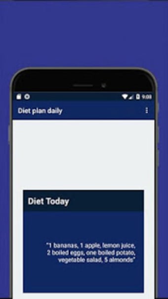 Diet Plan Daily