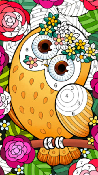 Color Fun - Color by Number  Coloring Books