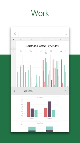 Microsoft Excel: View Edit  Create Spreadsheets