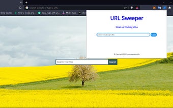 URL Sweeper