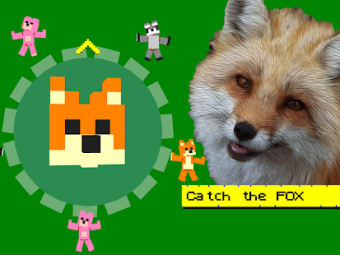 Where is the Fox Hidden animal game