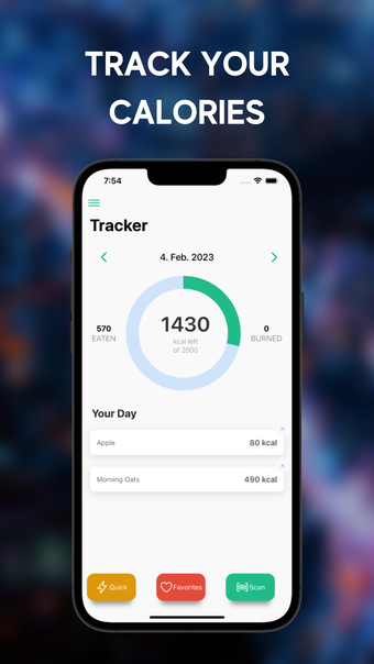 Quick Track - Calorie Counter