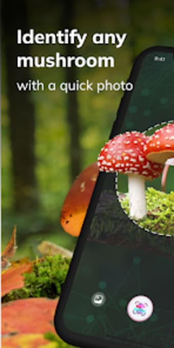 MushroomAI: Fungi ID  Guide