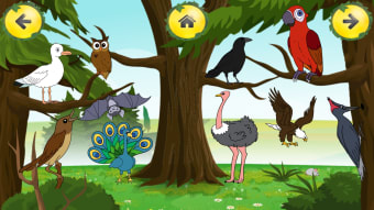 Animal Sounds Learn-Find Game