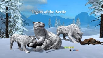 Tigers of the Arctic