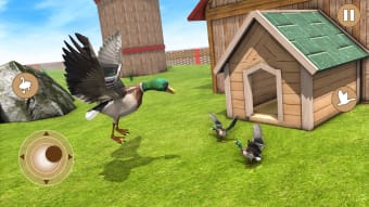 Real Duck Life Simulator 3D
