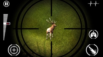 Deer Hunt Games-Shooting Games