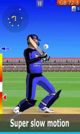 Smashing Cricket - a cricket game like none other.