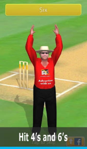 Smashing Cricket - a cricket game like none other.