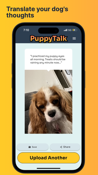 PuppyTalk: DogPet Translator