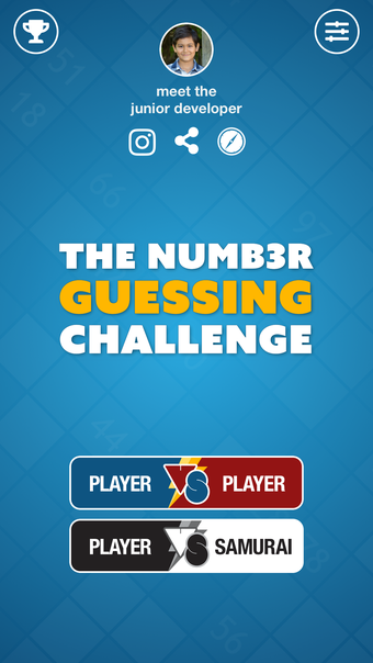 The Number Guessing Challenge