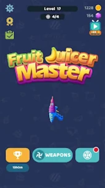 Fruit Juicer Master