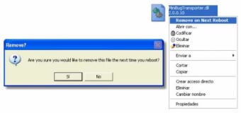 Remove on Reboot