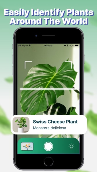 Plant Identifier  Finder App