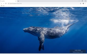 Gray Whale New Tab & Wallpapers Collection