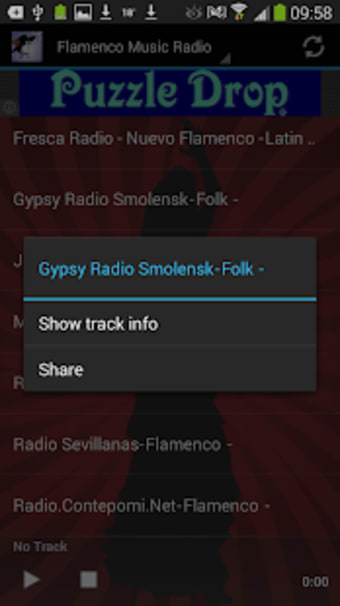 Flamenco Music Radio