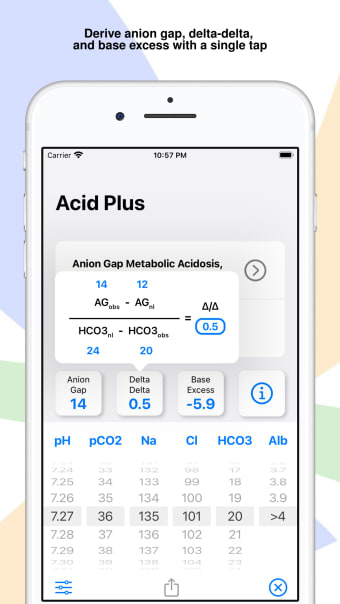 Acid Plus - The ABG Calculator
