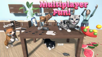 Cat Simulator - and friends