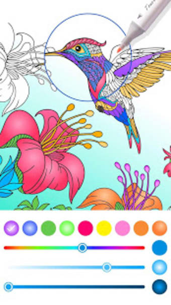 Colorfeel : Coloring  Color by Number