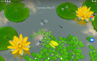 3D Lotus Pond Live Wallpaper