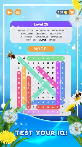 Words Search: Word Game Fun