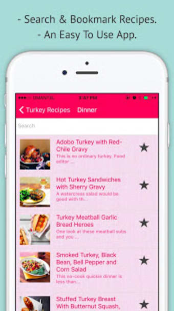 Turkey Recipes - Offline Recipe for Turkey