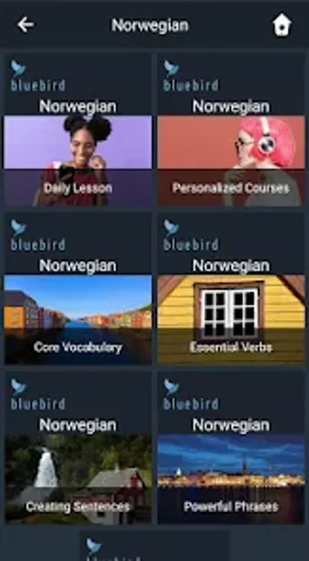 Learn Norwegian. Speak Norwegi