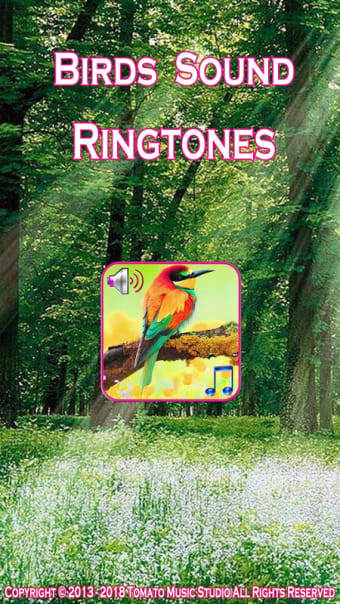 Birds sound ringtones