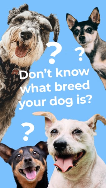 Dog Breed Identifier by Dogo