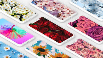 Flower Wallpaper HD  4k colorful wallpapers
