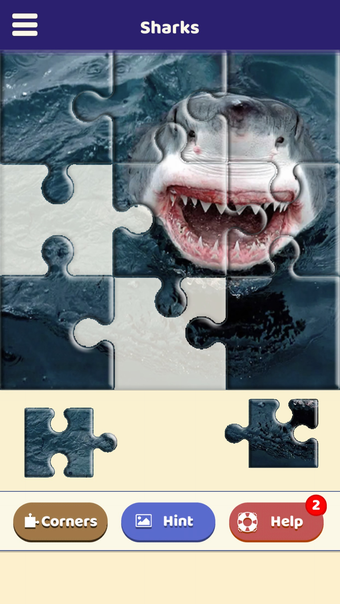 Shark Lovers Puzzle