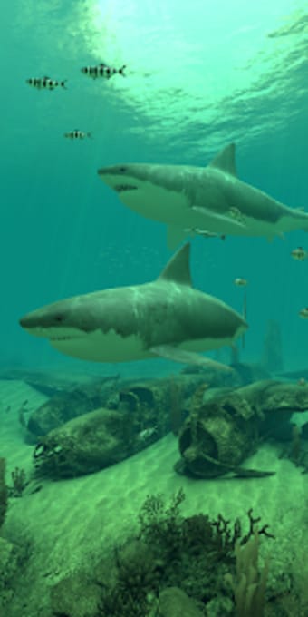 Sharks 3D - Live Wallpaper