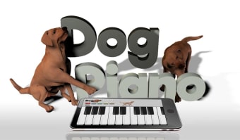 Dog Piano Keyboard