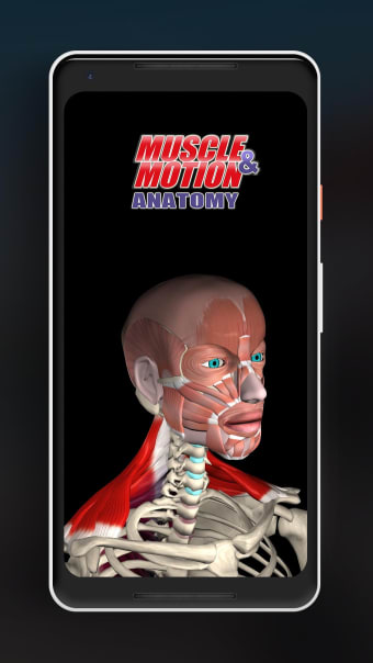 Anatomy by Muscle  Motion