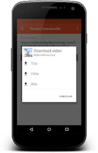 Rocket Video Downloader  Download videos  Cast