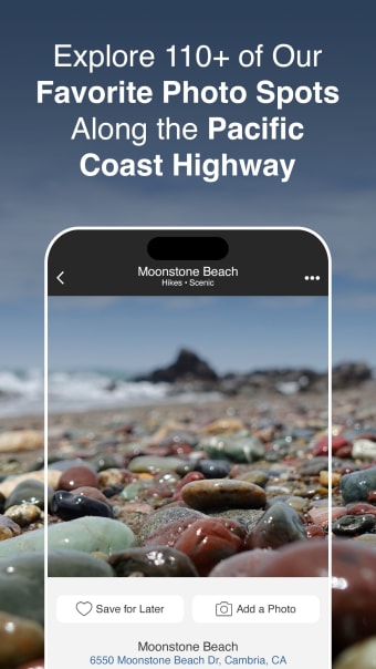 Pacific Coast Highway Guide