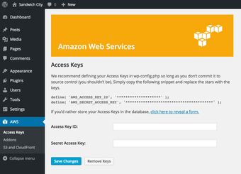 Amazon Web Services